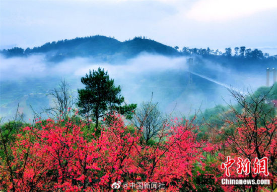 中国最美的乡村江西婺源，春天来了！