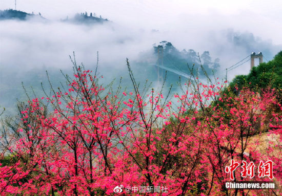 中国最美的乡村江西婺源，春天来了！