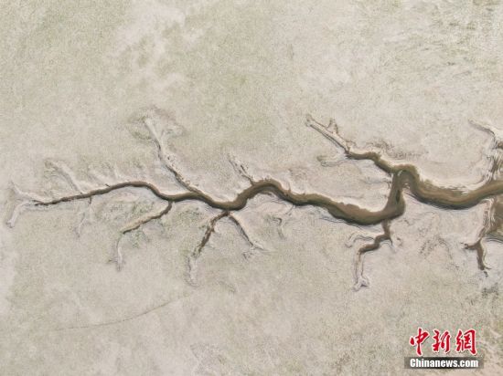8月21日，江西九江鄱陽湖二橋附近水域，大面積湖床露出，干涸的湖床成“樹形圖”。中國最大淡水湖鄱陽湖已于19日進入低枯水期，創下71年以來最早進入低枯水期的紀錄。（無人機照片） 中新社記者 劉力鑫 攝 　