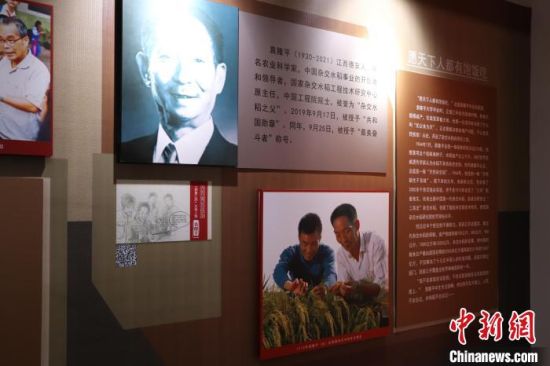 7图为展出的“杂交水稻之父”袁隆平的相关人物事迹。　徐梦文 摄