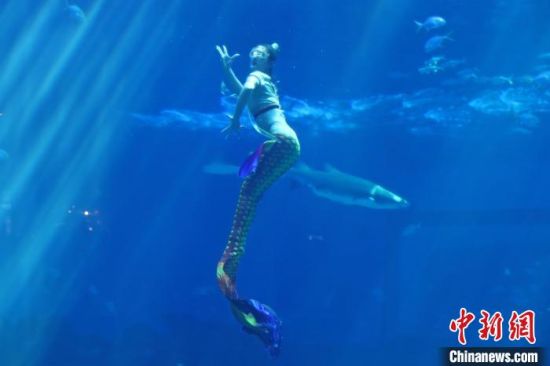 4 图为一位“美人鱼”正在进行表演如水下仙子，婀娜多姿。　刘占昆 摄