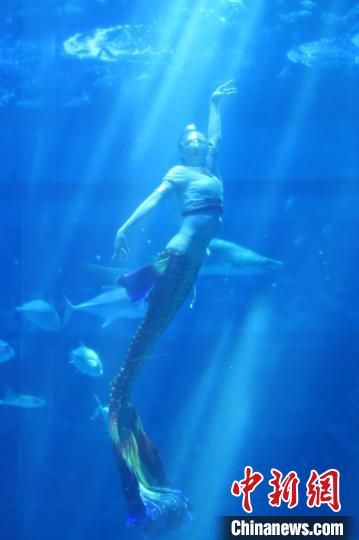 5 图为一位“美人鱼”正在进行“水中飞天”表演。　刘占昆 摄