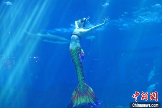 7 图为一位正在进行表演的“美人鱼”，如水下仙子，婀娜多姿。　刘占昆 摄