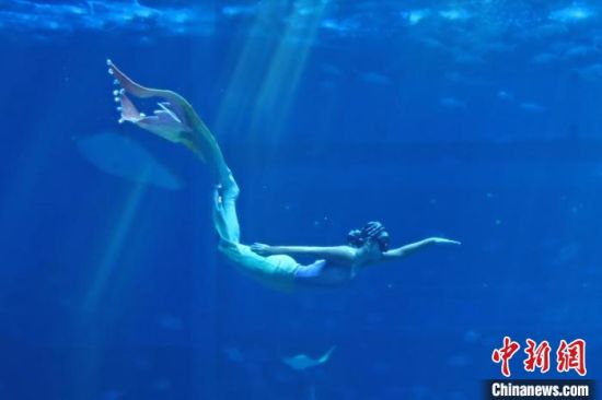 8 图为一位正在进行表演的“美人鱼”，如水下仙子，婀娜多姿。　刘占昆 摄