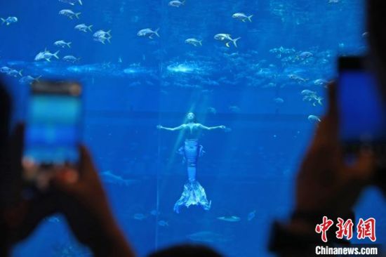 10 图为一位“美人鱼”正在进行表演，观众正在用手机拍摄。　刘占昆 摄