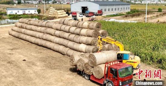近日，位于长江边的江西九江市彭泽县棉船镇，农业机械正在打捆麦秸回收利用。 彭琴 摄