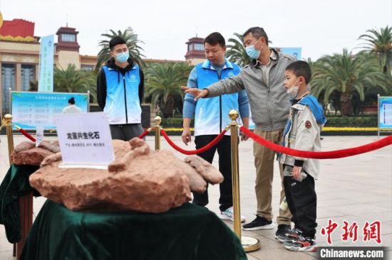 圖為2022年度江西省古生物化石保護利用科普宣傳活動南昌分會場，一位家長帶著孩子在觀看恐龍蛋化石�！⒘� 攝