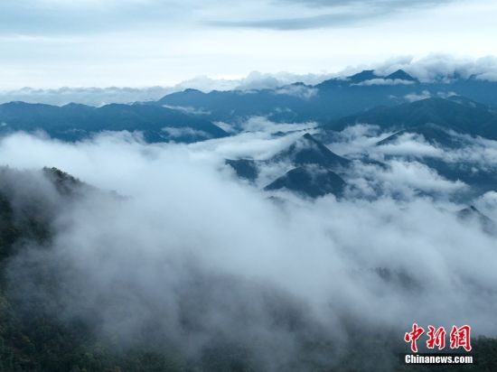111月22日，江西鉛山，一場降雨過后的武夷山脈云霧繚繞，山峰在云霧之中若隱若現。 中新社發 丁銘華 攝 圖片來源：CNSphoto