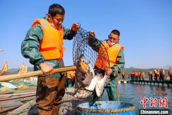 在江西省萬安縣沙坪鎮漁家佩溪美麗鄉村，漁民正在捕魚�！∏裾堋z