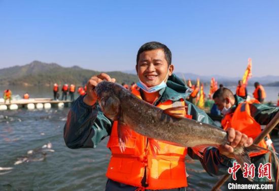 在江西省萬安縣沙坪鎮漁家佩溪美麗鄉村，漁民正在展示魚獲�！∏裾� 攝