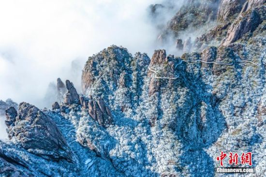 1月16日，江西三清山，雪后初霁，枝柳树杈挂满白雪，山峰雪花点缀，雾凇、云海齐现。 詹东华 摄