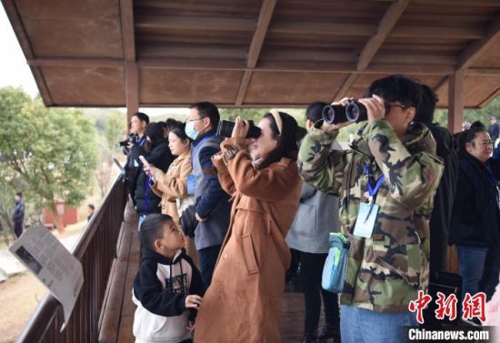 图为九江市永修县吴城候鸟小镇内游客正在观鸟。朱志应 摄