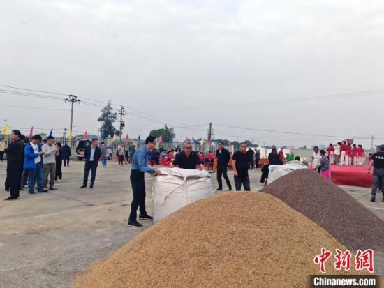 宏康(九江)农业开发有限公司举办趣味运动会。袁勃兴 摄