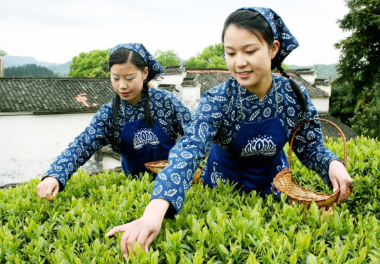 State Grid Jing‘an County Power Supply Company: Electric Spring Breeze Warm Tea Farmers